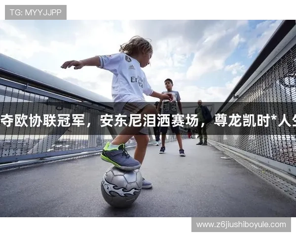 揭秘尊龙凯时娱乐官网的安全性及保障措施分析